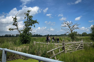 A group of people stood between two trees and open marsh fields