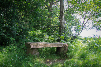Bench sat in dappled sunlight at Bradfield Woods
