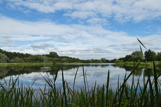 view of long reach from Bess's hide