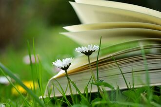 Wild Reads, book in nature with daisies