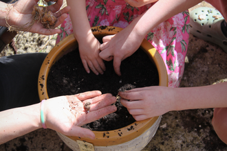 Pot planting at The Hive Ipswich