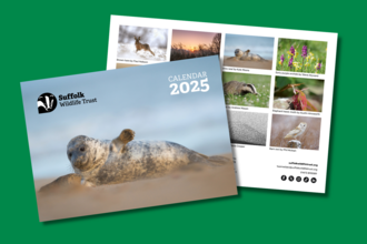 2025 Calendar mock-up