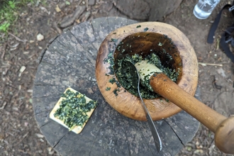 Nettle pesto