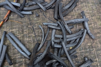 Willow Charcoal