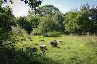 Foxburrow nature reserve