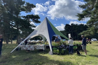 heath day at knettishall 2024