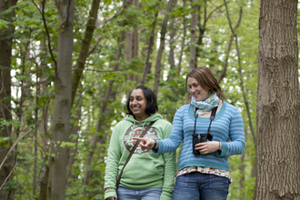 people walking through bluebell wood