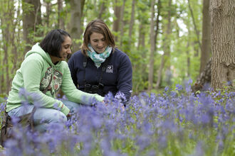 two people crouching down next to bluebells