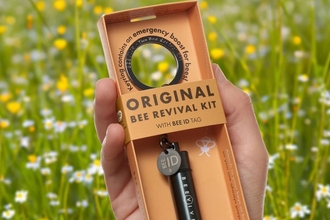 Beehive Bee Revival Kit Black
