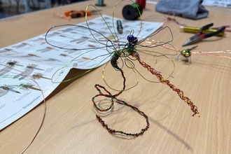 Wire Dragonfly- Paul green course
