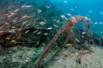 Bottom trawling