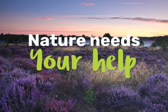 Nature needs your help Mission 2030 v2