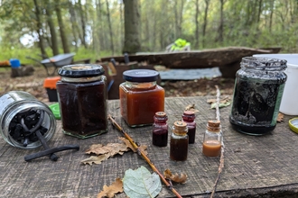 wild inks