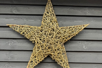 giant willow star