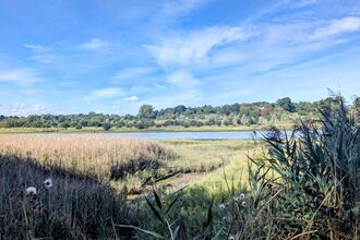 Martlesham Wilds Sept 2025