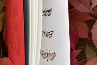 A red book against autumn coloured leaves