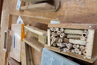 Bug home building at Stonelodge academy