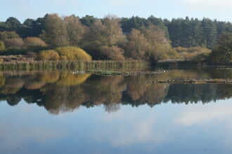 Slough - November 11th 2025