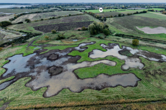 new scrape filled with water