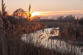 Suffolk river at sunset