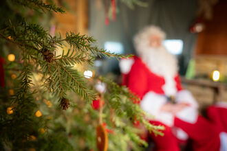 A close up of a pine tree with a santa in a blurred background