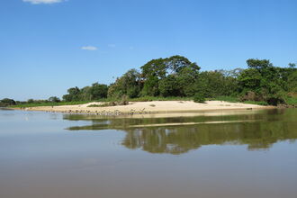 the Pantanal courtesy of Ian Barthorpe