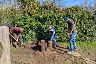 creating stag beetle stacks