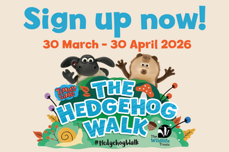Banner reading Sign Up Now for the Hedgehog Walk