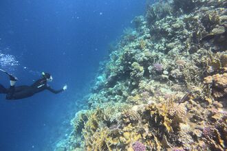 Meet Gemma - Campaigning & Activism Manager 