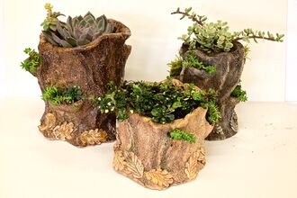 Three clay planters in the shape of tree stumps with foliage and plants in them