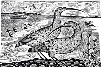 Angela Harding Curlew on the River Deben