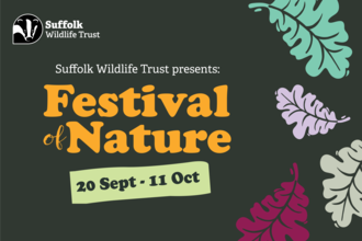 Festival of Nature 2026