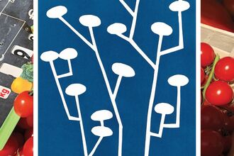 Childrens cyanotype workshop 
