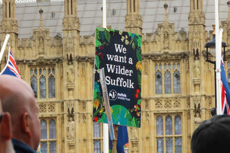 A placard held above a crowd of people in Parliament Square saying "We want a wilder Suffolk", with the Houses of Parliament in the background.