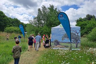 People walking through wildflowers as they enter the show area