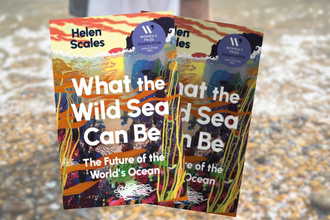 What the wild seas can be 