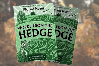 Words from the hedge 