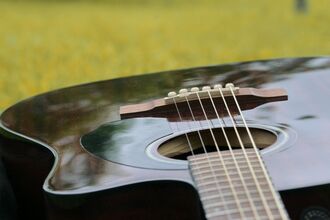 Acoustic Guitar 