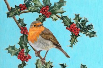 A pencil drawing of a robin on a bright blue background