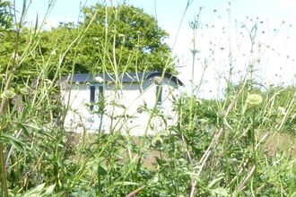 Alde Valley Group - Wolsey Farmhouse open garden 2026