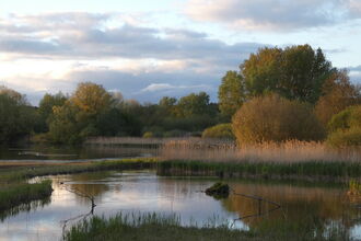 View over lake and reedbed