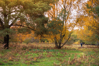 Knettishall Heath Autumn 2025
