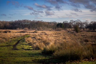 Redgrave & Lopham Fen, Autumn 2025 (c) Nick Jermy