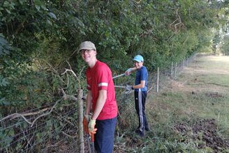 Work experience at Trimley Marshes 