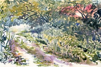 A watercolour painting of a wooded path 