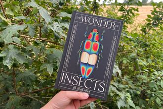 Wonder of Insects Book 