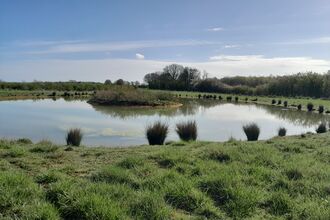 Restored pond on Broxted Estate