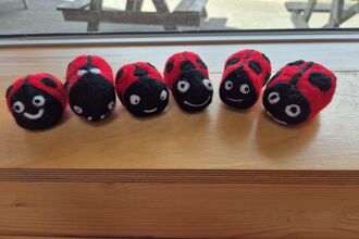 Needle felted ladybird-Stephanie May 