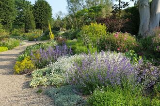 Image of garden planted for a drier climate