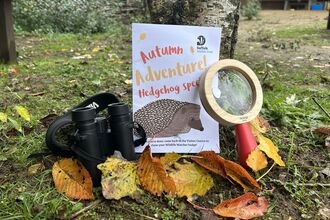 Autumn Adventure at Lackford Lakes